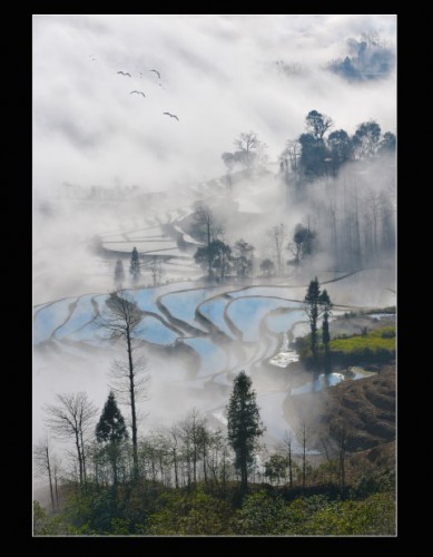風景篇-元陽梯田