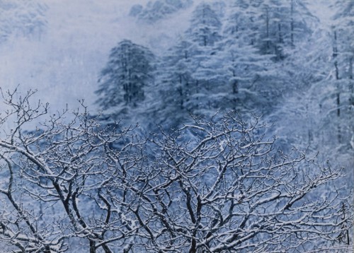 李公劍《松林飄雪》