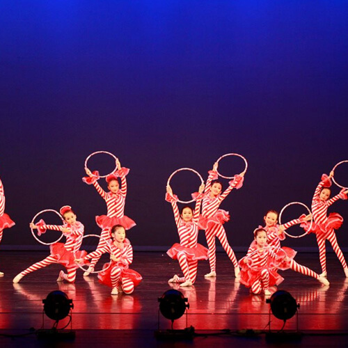 Associação Dançarinos Regina “Bailar” 2014