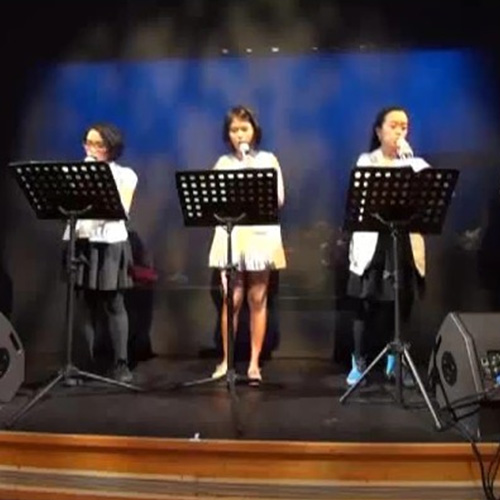 2014 - “Acompanhados” – Concerto A Cappella - Vídeo