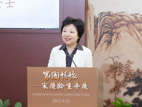 中國宋慶齡基金會副主席沈蓓莉致辭