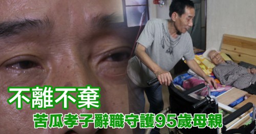 【苦瓜面孝子】