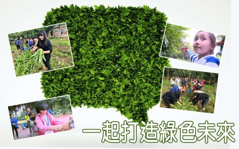 打造綠色未來